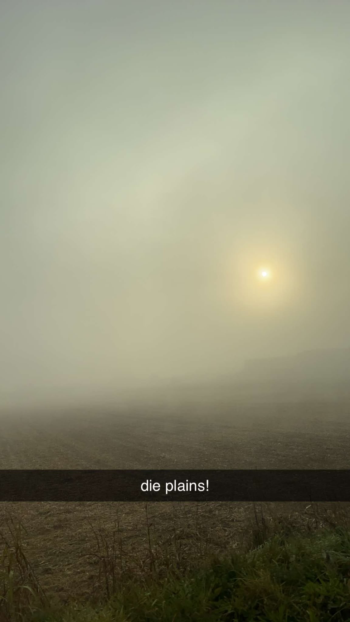 Artwork for Plains (remix)