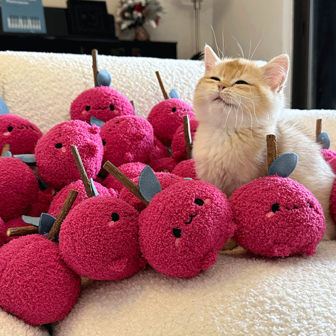 Artwork for Cat Toy