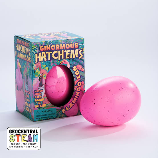 Artwork for Curious Egg