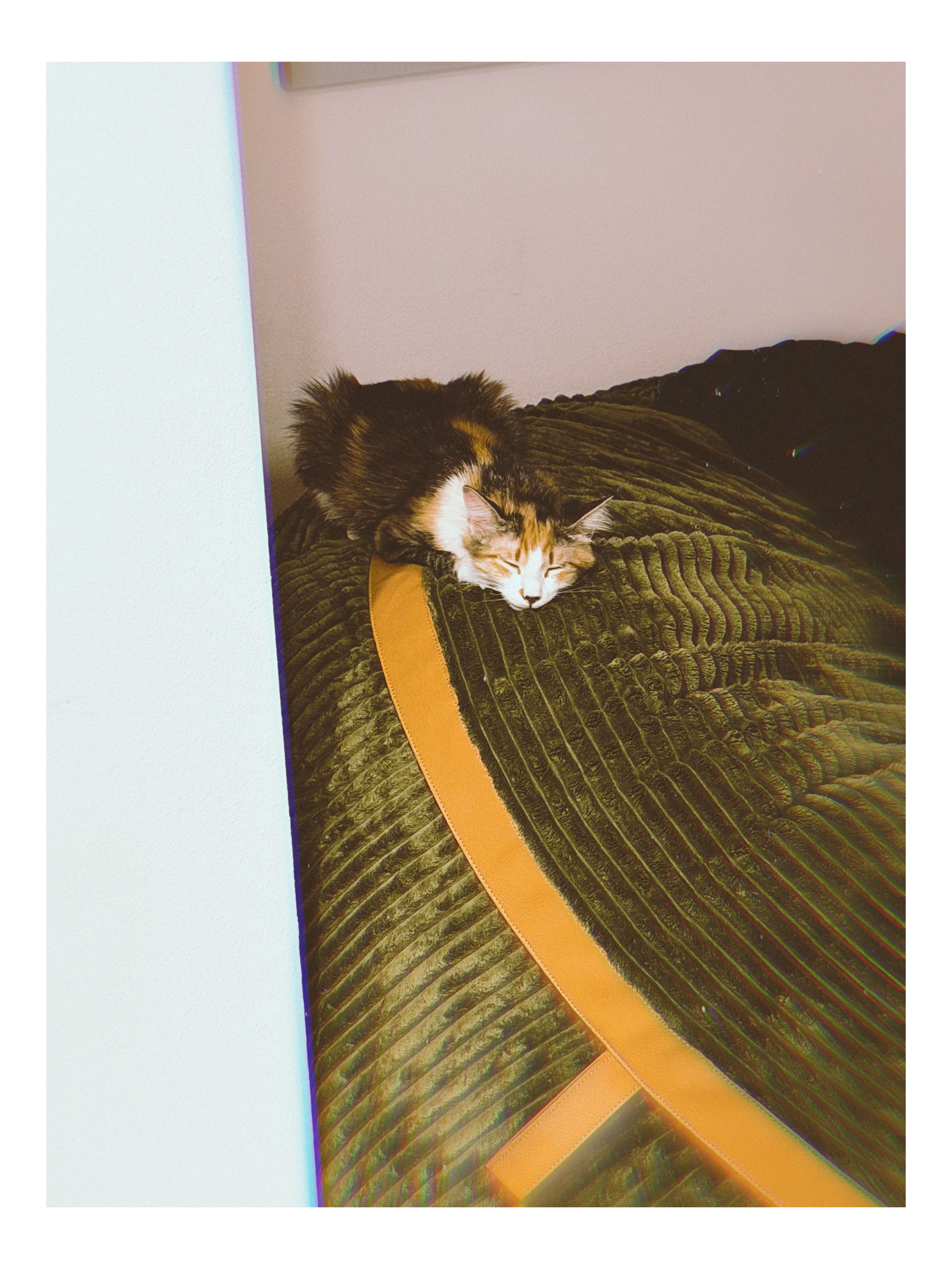 Artwork for Daisy, Napper