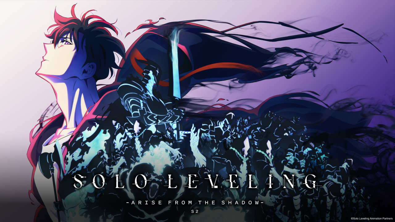 Solo Leveling — custom card deck cover